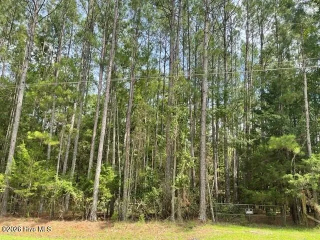 6856 Cottonwood Drive Appling, GA 30802