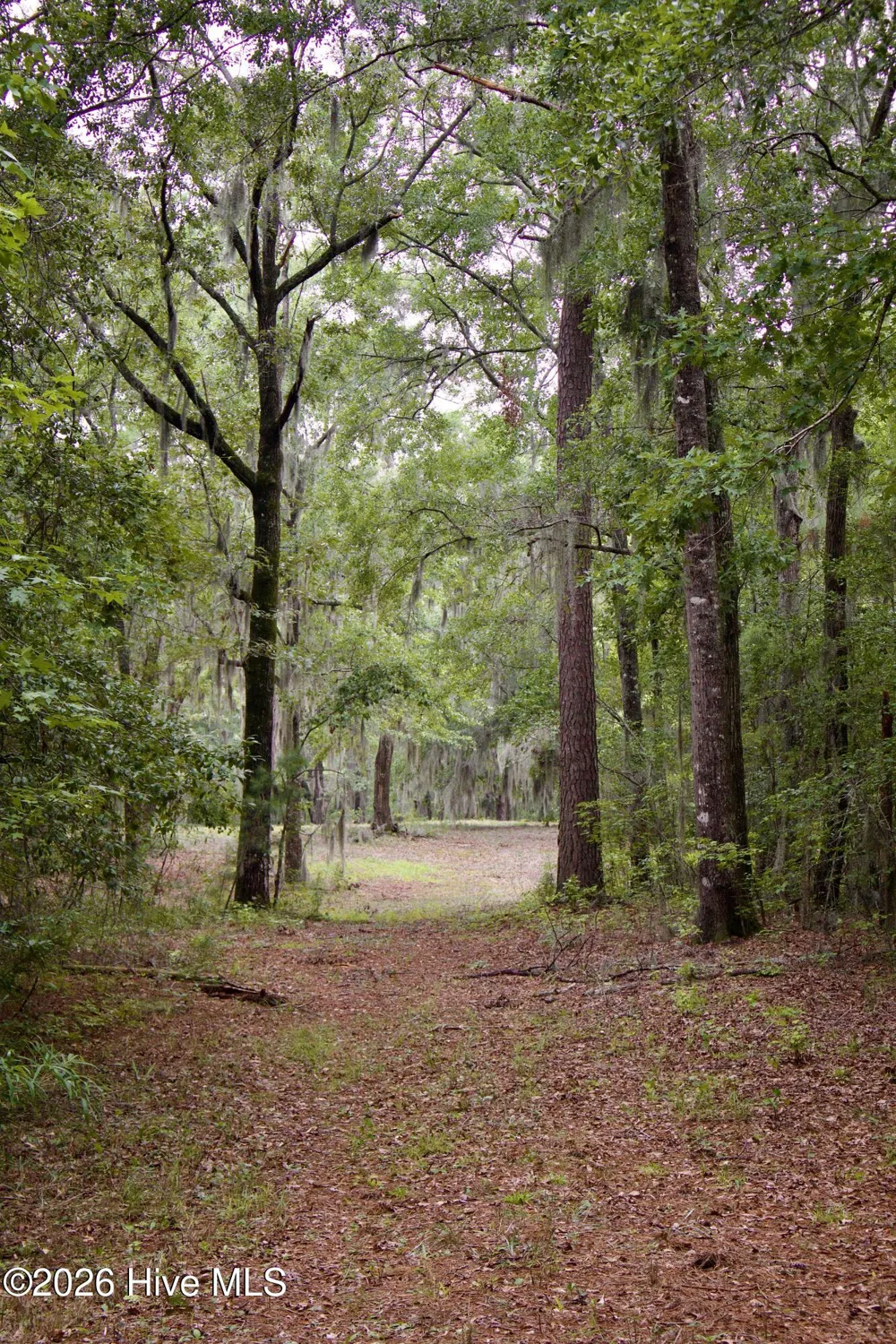 385 Sand Ridge Road New Bern, NC 28560