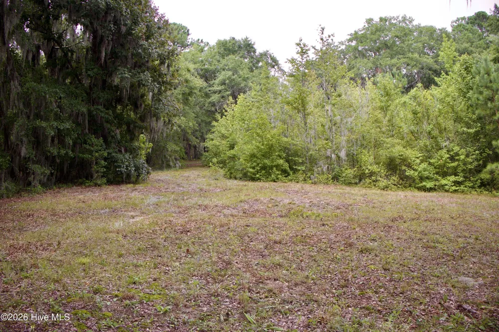 385 Sand Ridge Road New Bern, NC 28560