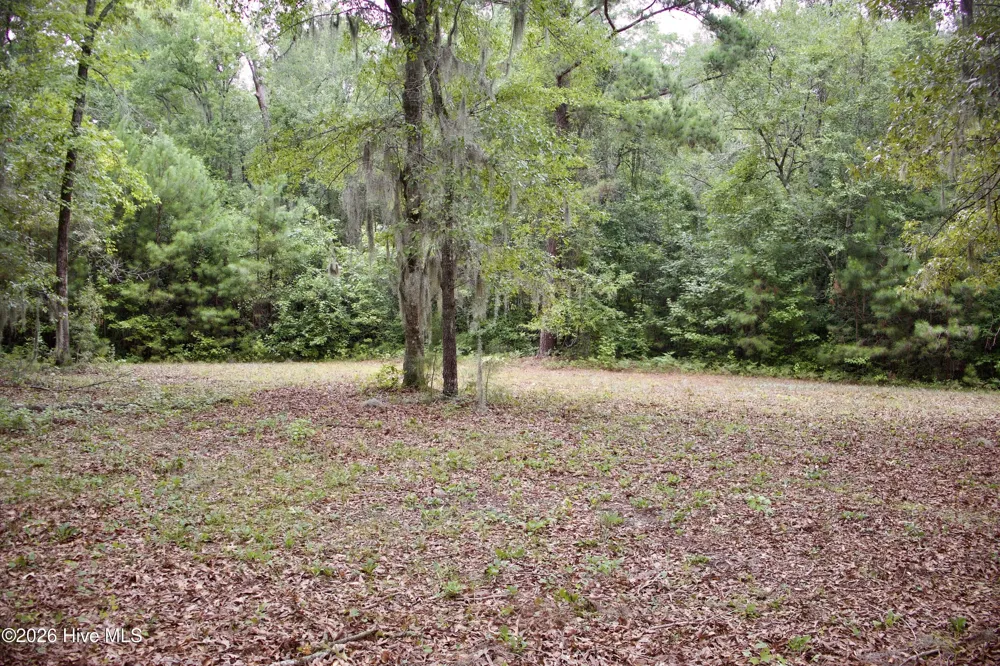 385 Sand Ridge Road New Bern, NC 28560