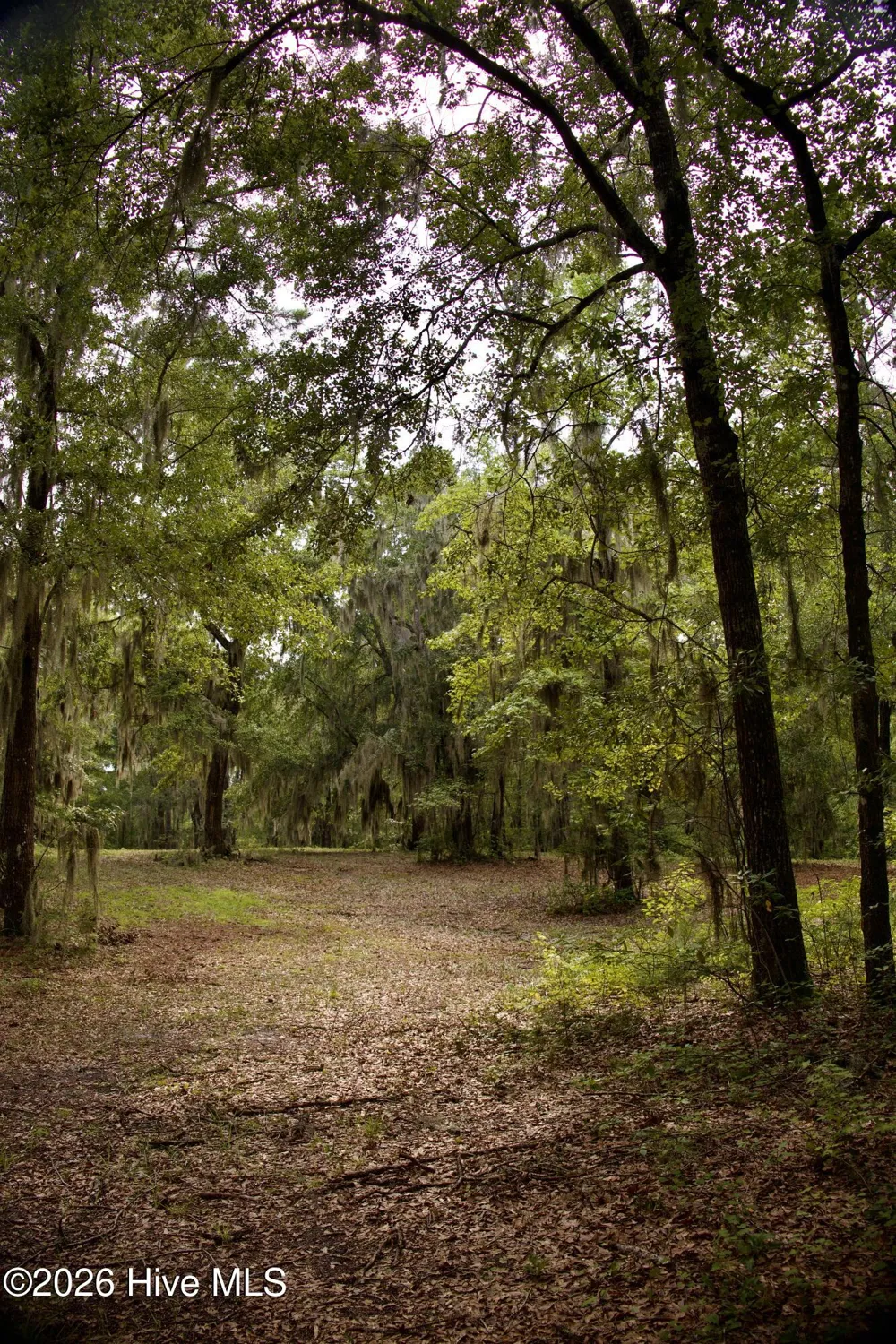 385 Sand Ridge Road New Bern, NC 28560