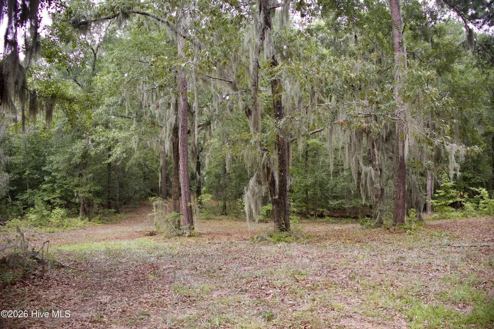 385 Sand Ridge Road New Bern, NC 28560