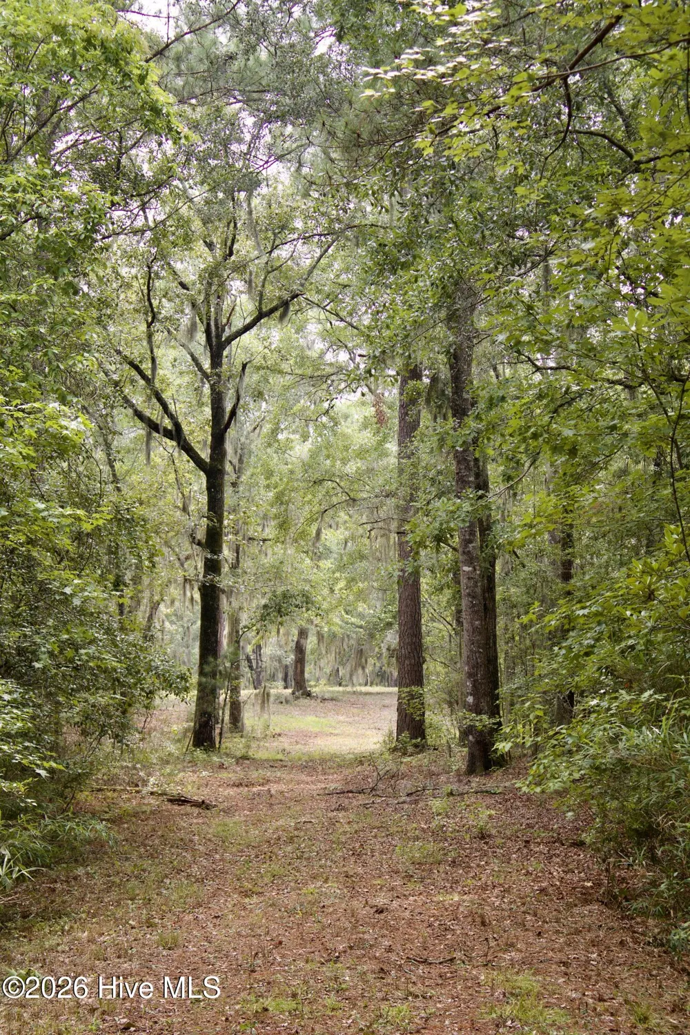 385 Sand Ridge Road New Bern, NC 28560