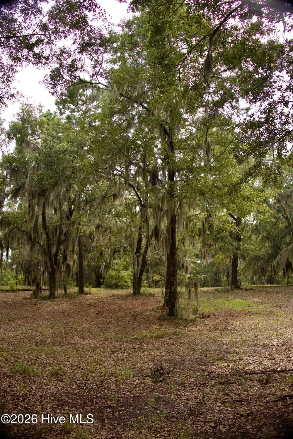 385 Sand Ridge Road New Bern, NC 28560