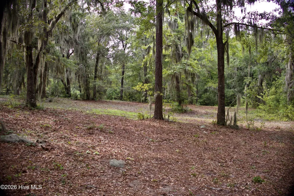 385 Sand Ridge Road New Bern, NC 28560