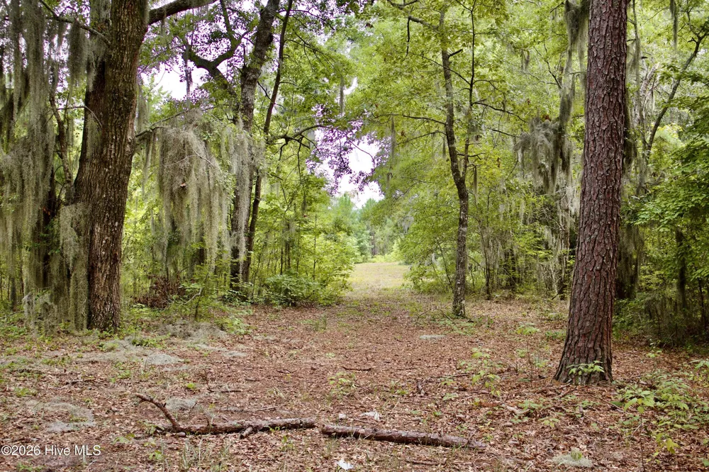 385 Sand Ridge Road New Bern, NC 28560