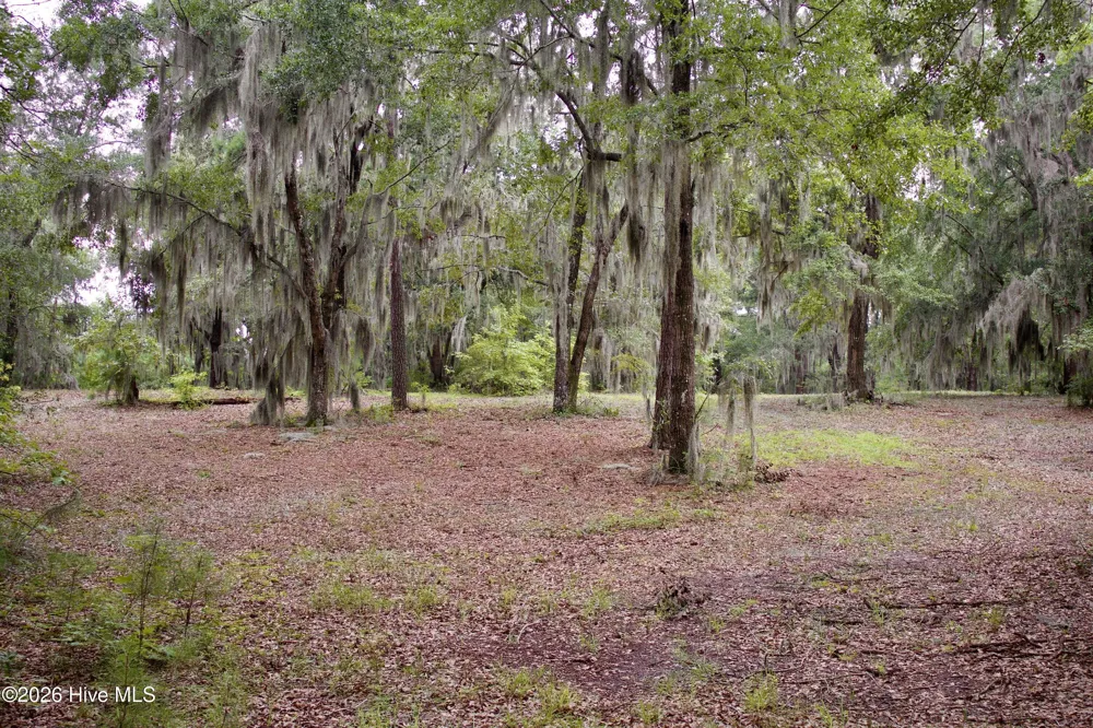 385 Sand Ridge Road New Bern, NC 28560