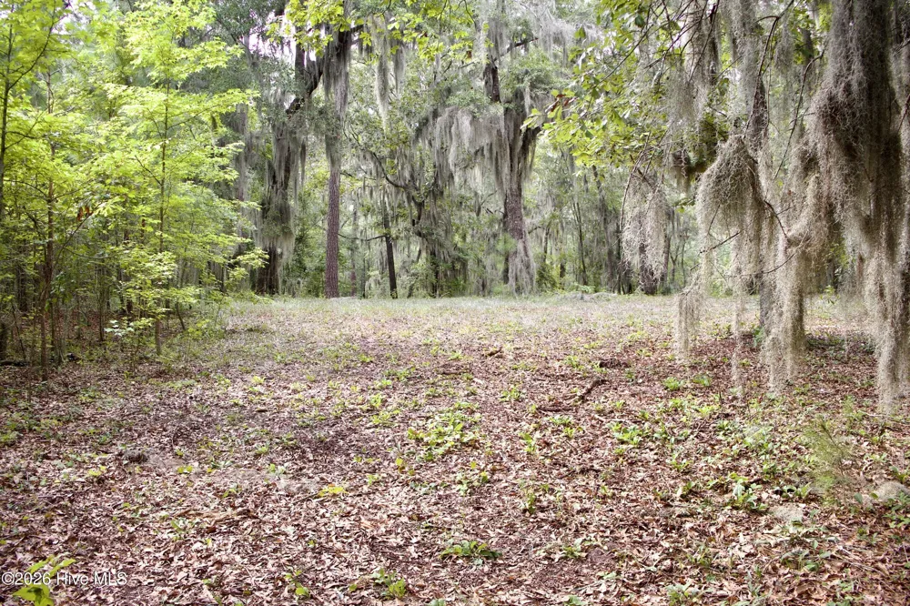 385 Sand Ridge Road New Bern, NC 28560