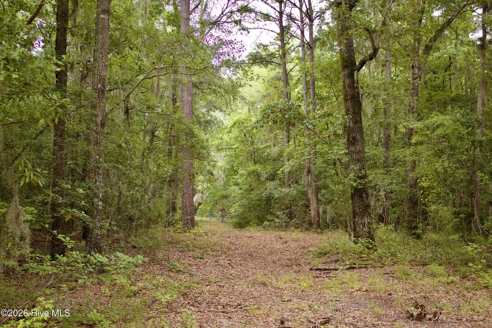 385 Sand Ridge Road New Bern, NC 28560