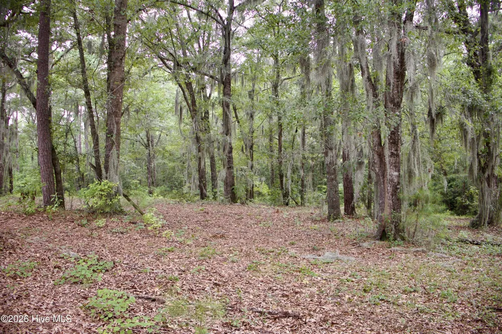 385 Sand Ridge Road New Bern, NC 28560