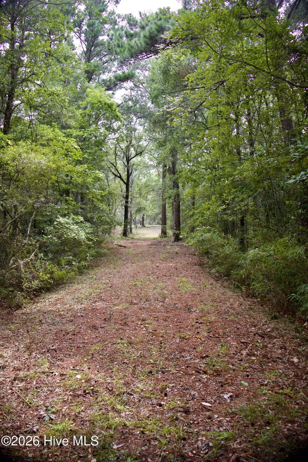 385 Sand Ridge Road New Bern, NC 28560