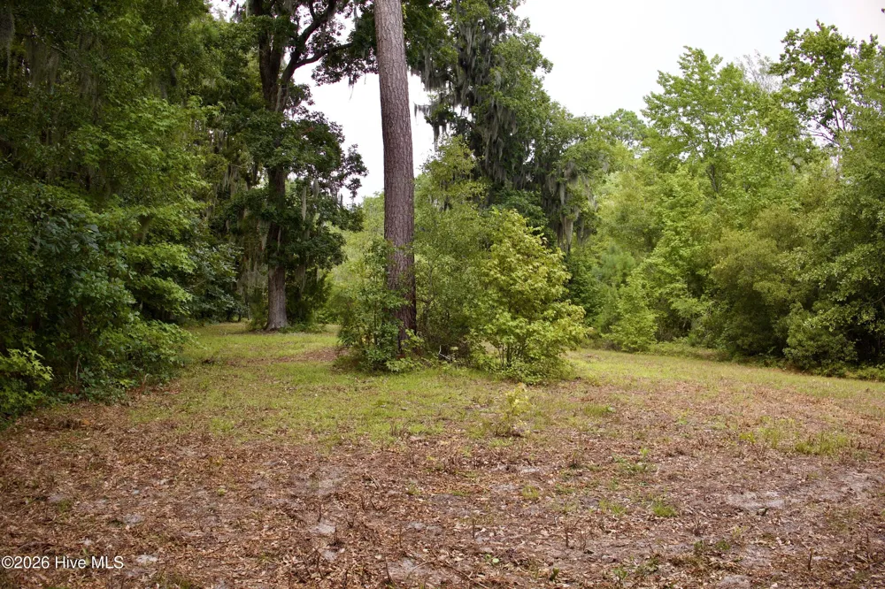 385 Sand Ridge Road New Bern, NC 28560
