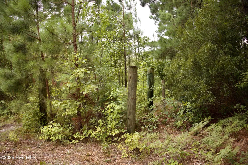 385 Sand Ridge Road New Bern, NC 28560