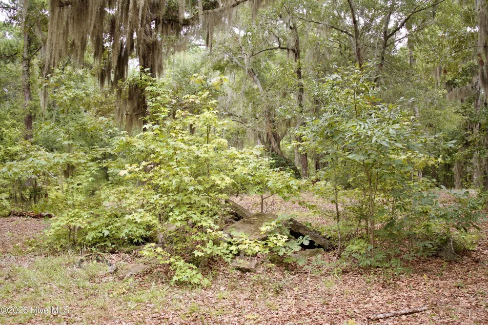385 Sand Ridge Road New Bern, NC 28560