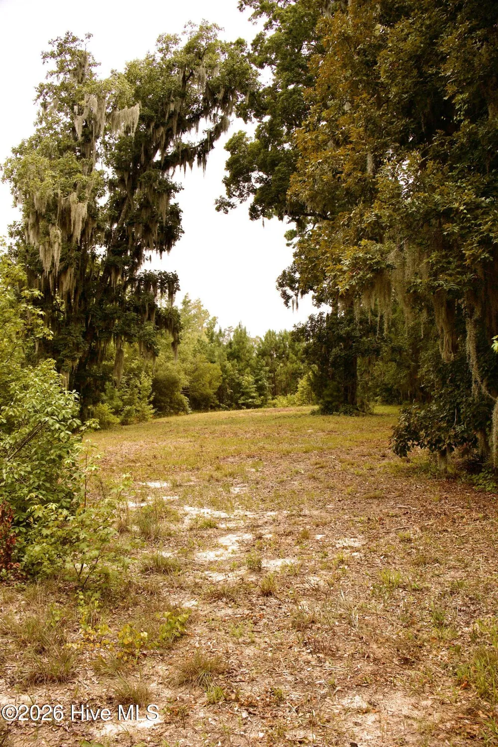 385 Sand Ridge Road New Bern, NC 28560