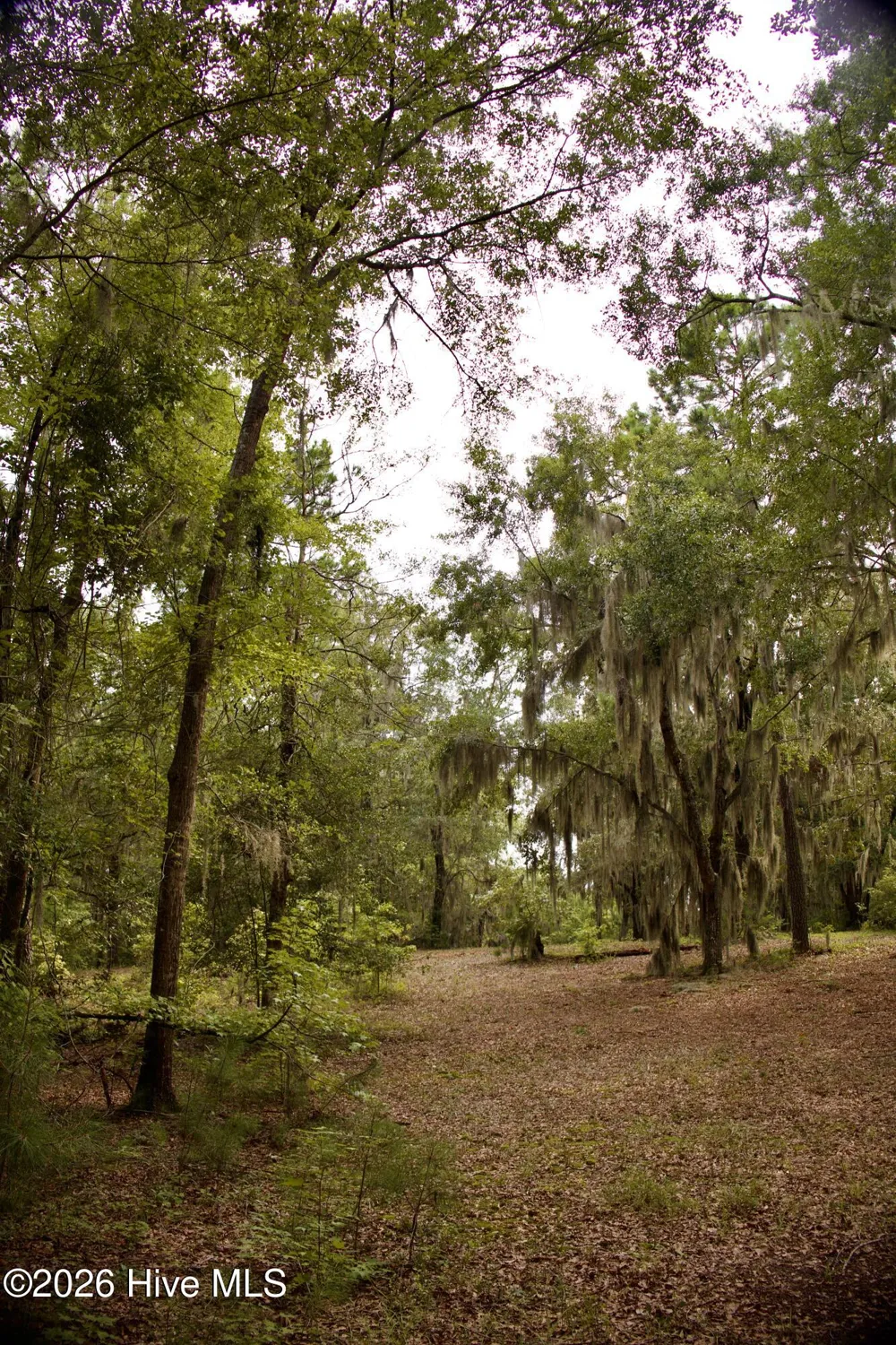 385 Sand Ridge Road New Bern, NC 28560