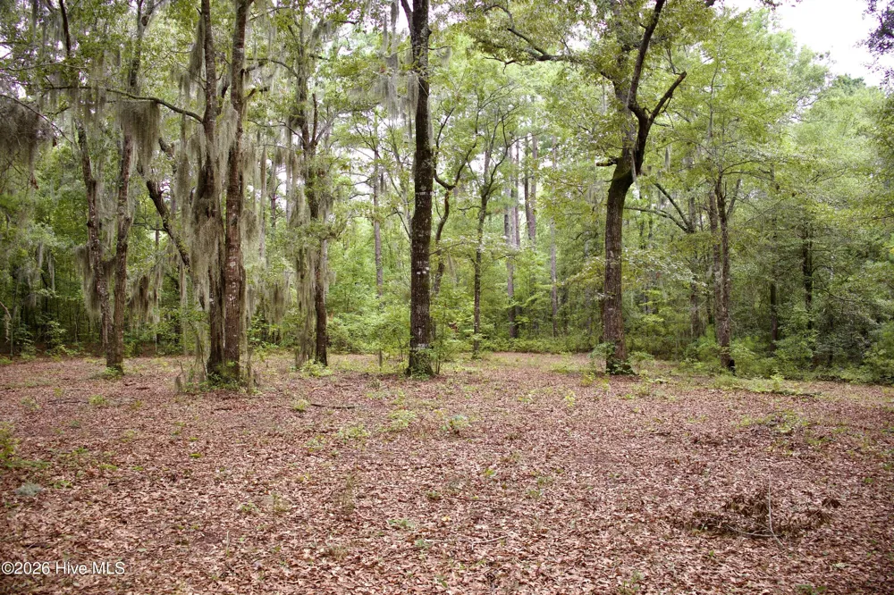 385 Sand Ridge Road New Bern, NC 28560