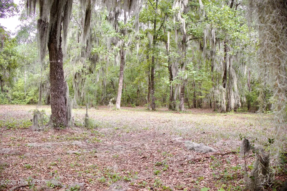 385 Sand Ridge Road New Bern, NC 28560