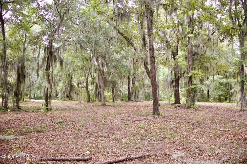 385 Sand Ridge Road New Bern, NC 28560