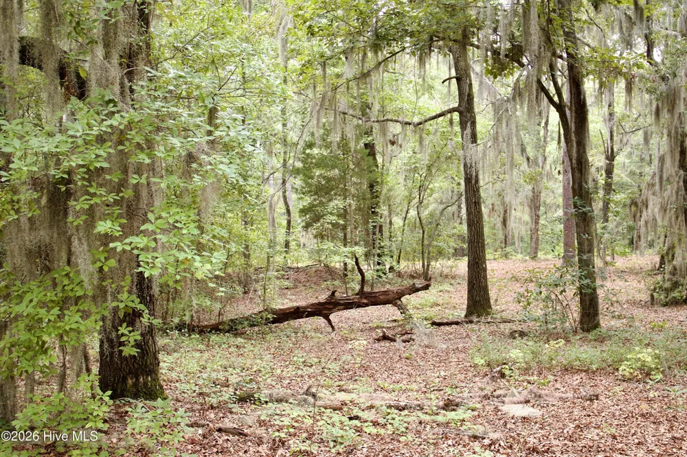 385 Sand Ridge Road New Bern, NC 28560