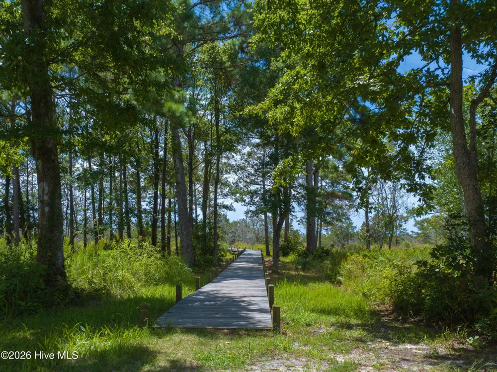 286 Marsh Haven Drive Sneads Ferry, NC 28460