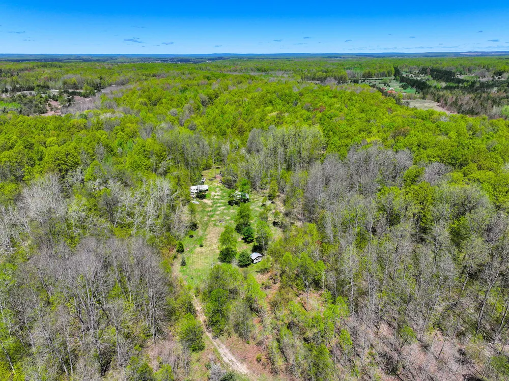 10 Amanda Court Mancelona, MI 49659