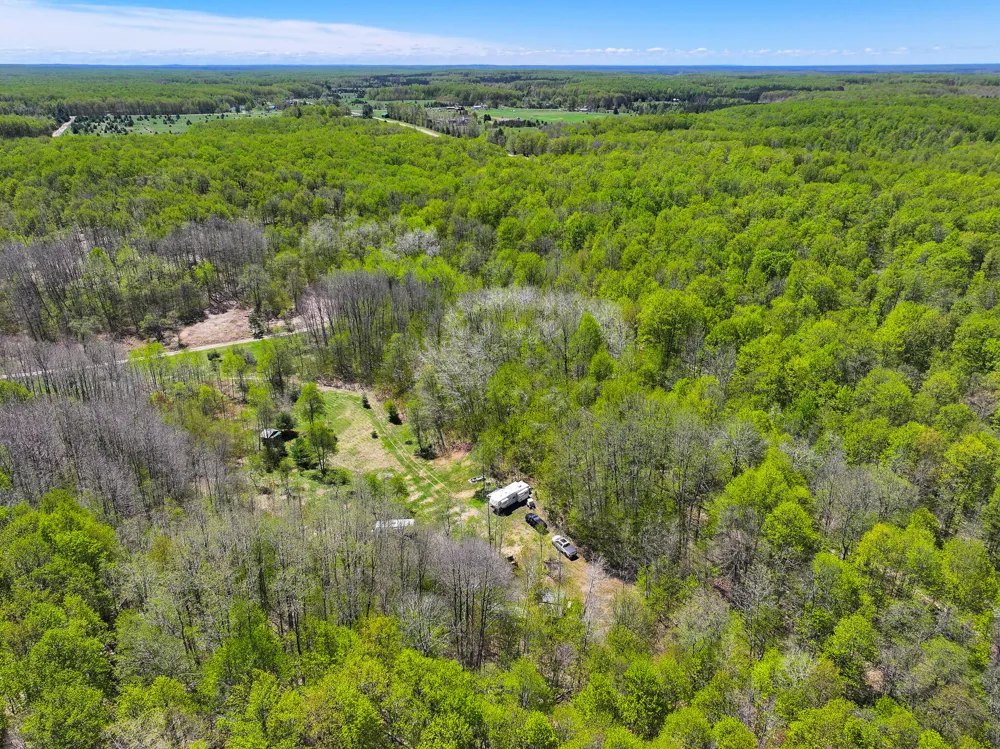 10 Amanda Court Mancelona, MI 49659