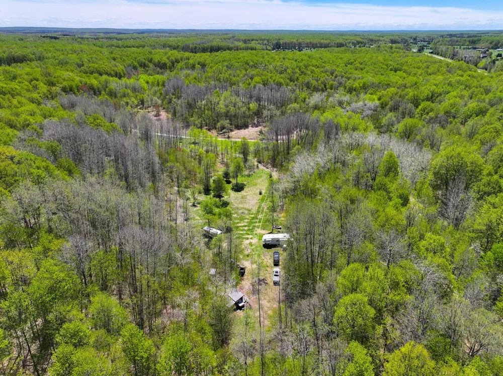 10 Amanda Court Mancelona, MI 49659