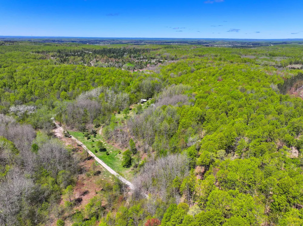 10 Amanda Court Mancelona, MI 49659