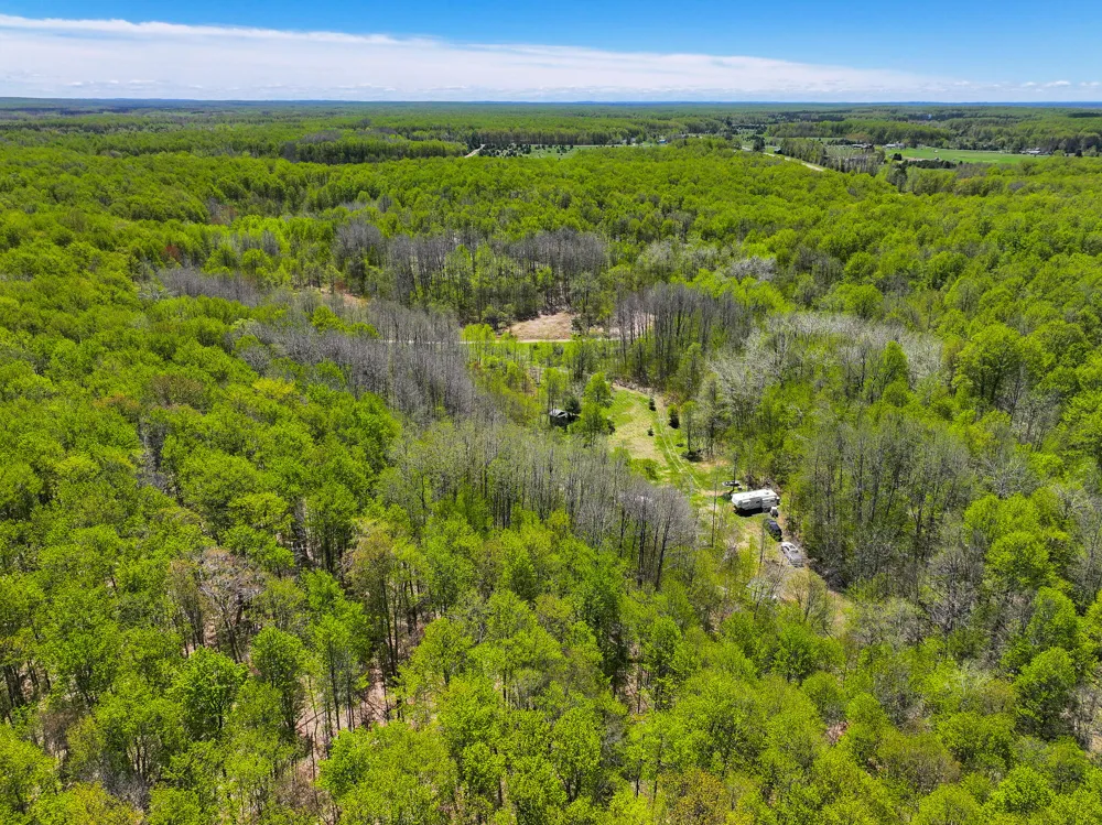 10 Amanda Court Mancelona, MI 49659