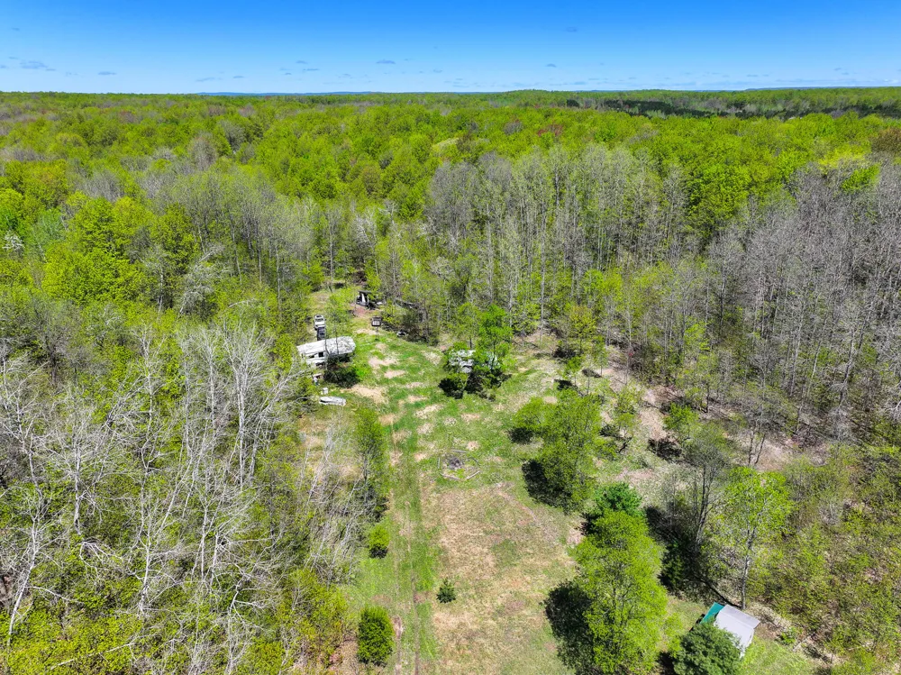 10 Amanda Court Mancelona, MI 49659