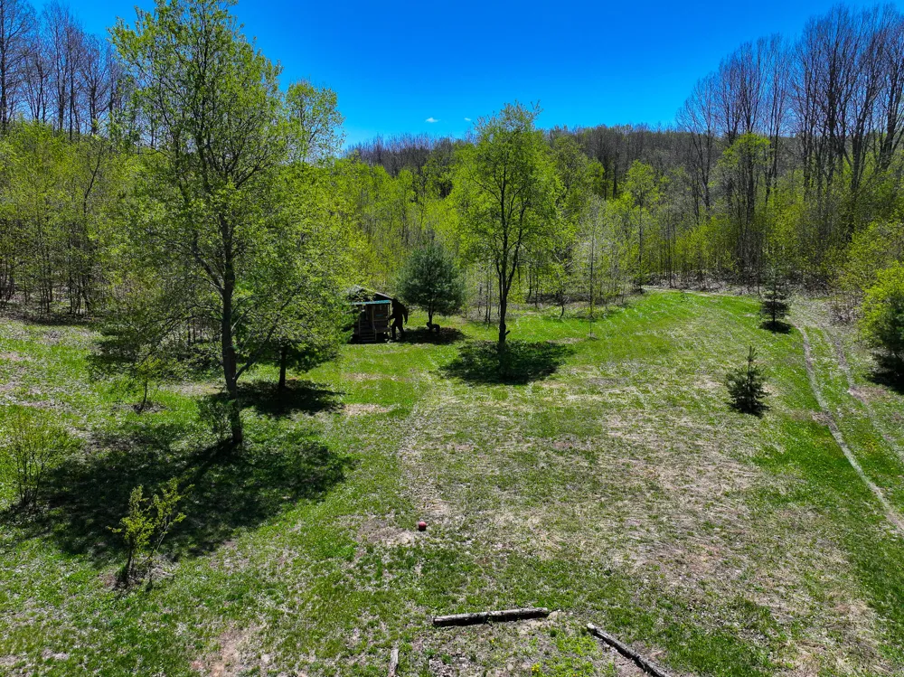 10 Amanda Court Mancelona, MI 49659