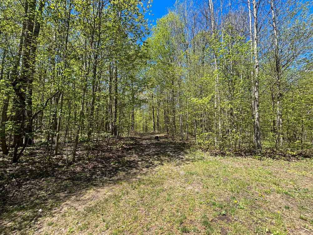 10 Amanda Court Mancelona, MI 49659