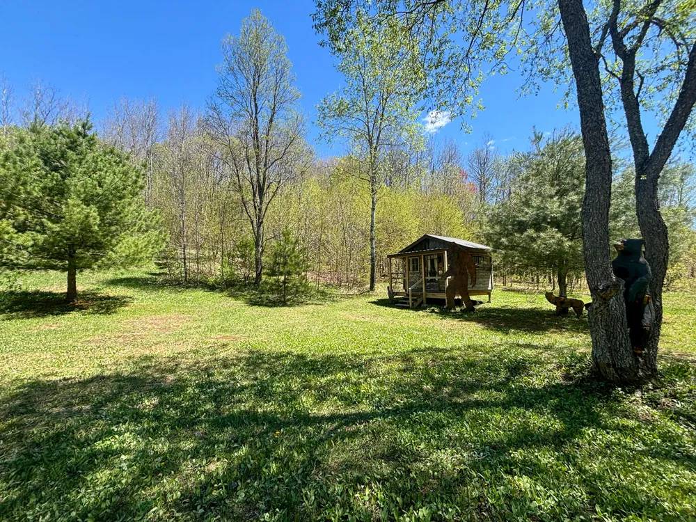 10 Amanda Court Mancelona, MI 49659