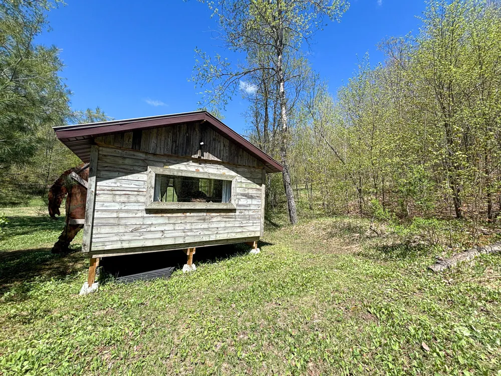 10 Amanda Court Mancelona, MI 49659