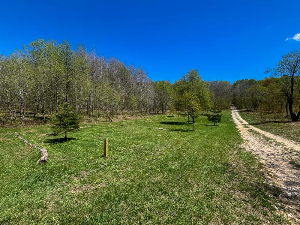 10 Amanda Court Mancelona, MI 49659