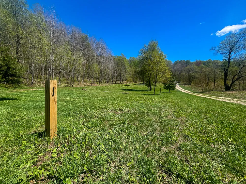 10 Amanda Court Mancelona, MI 49659