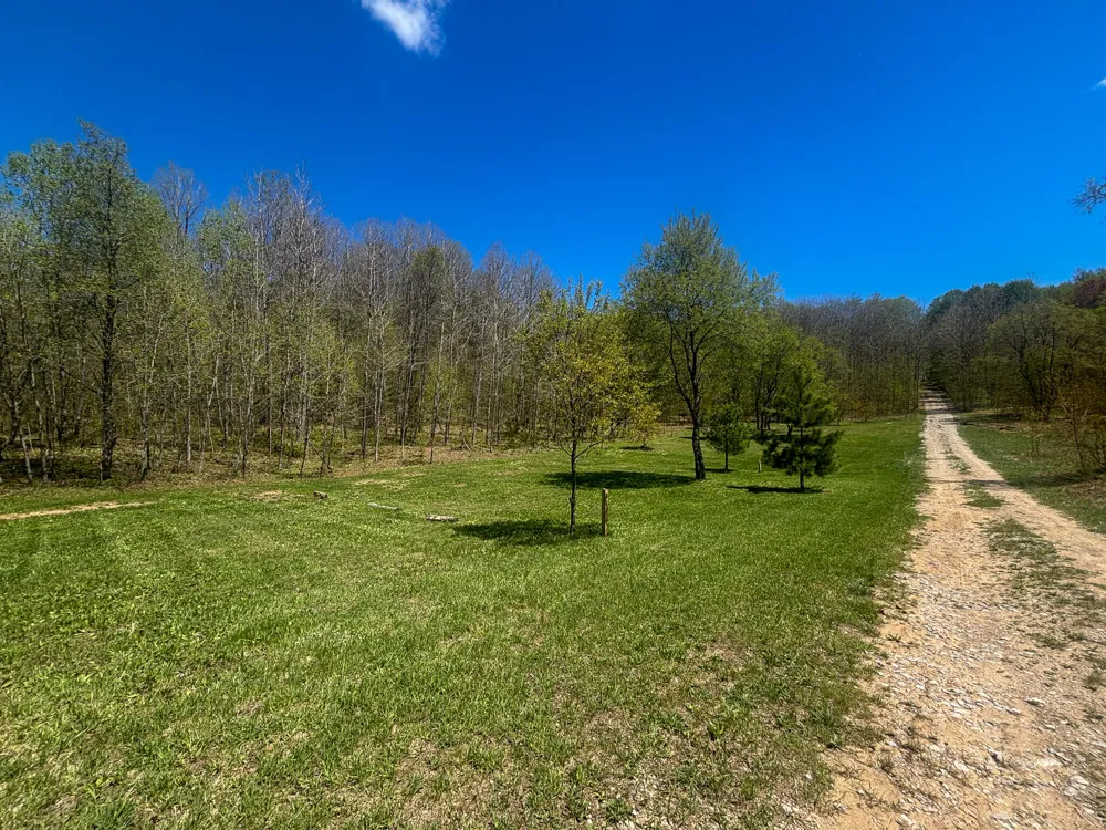 10 Amanda Court Mancelona, MI 49659
