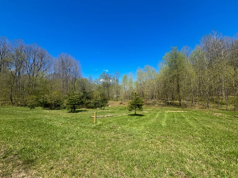 10 Amanda Court Mancelona, MI 49659