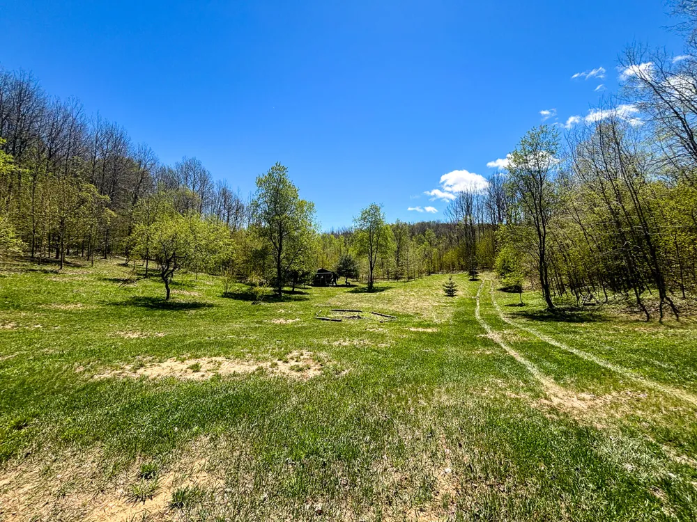 10 Amanda Court Mancelona, MI 49659