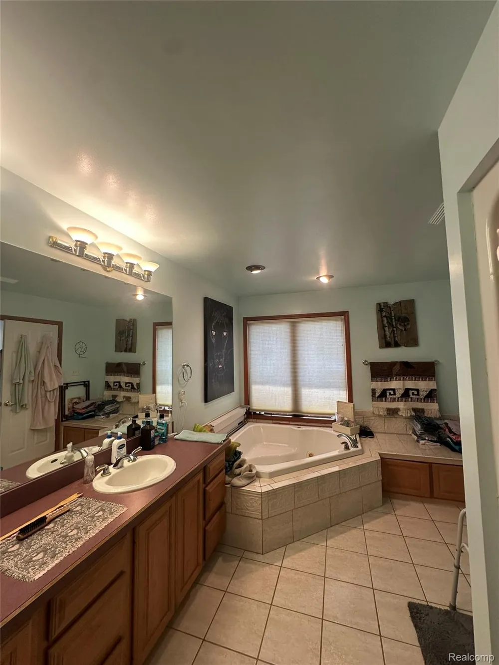 4678 Trails Elba Township, MI 48446