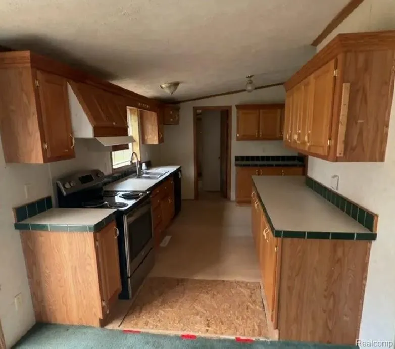 10537 Byron Road Burns Township, MI 48418
