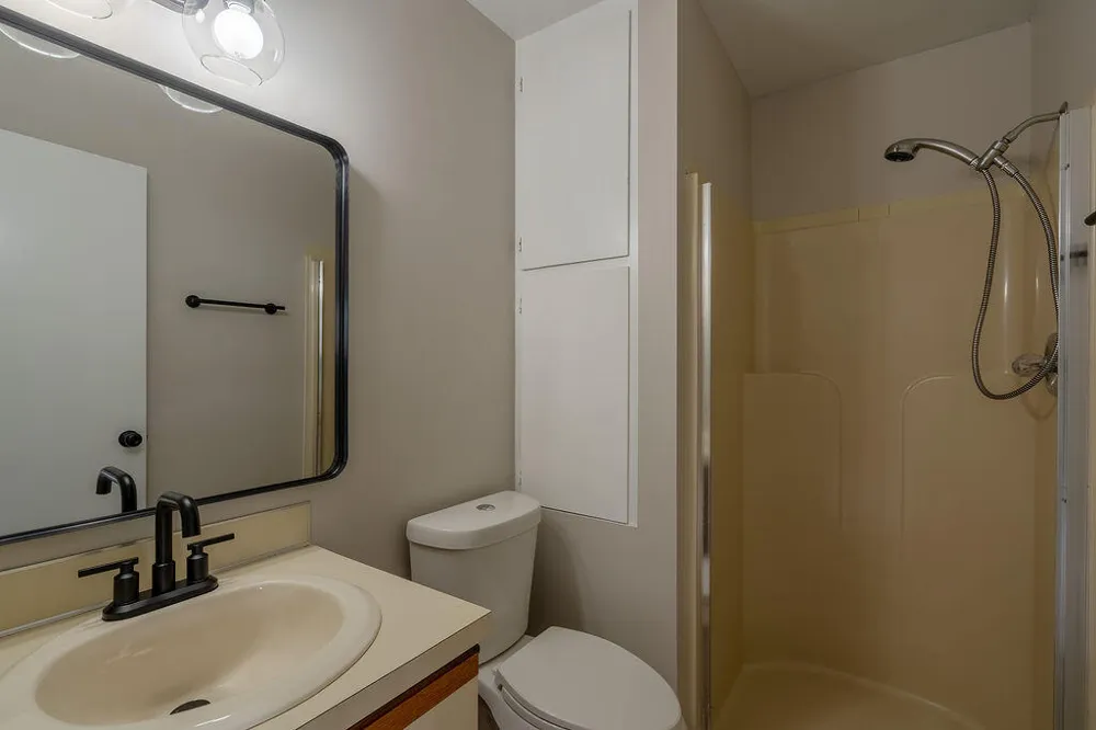 7028 Springtree Lane SW Byron Township, MI 49548