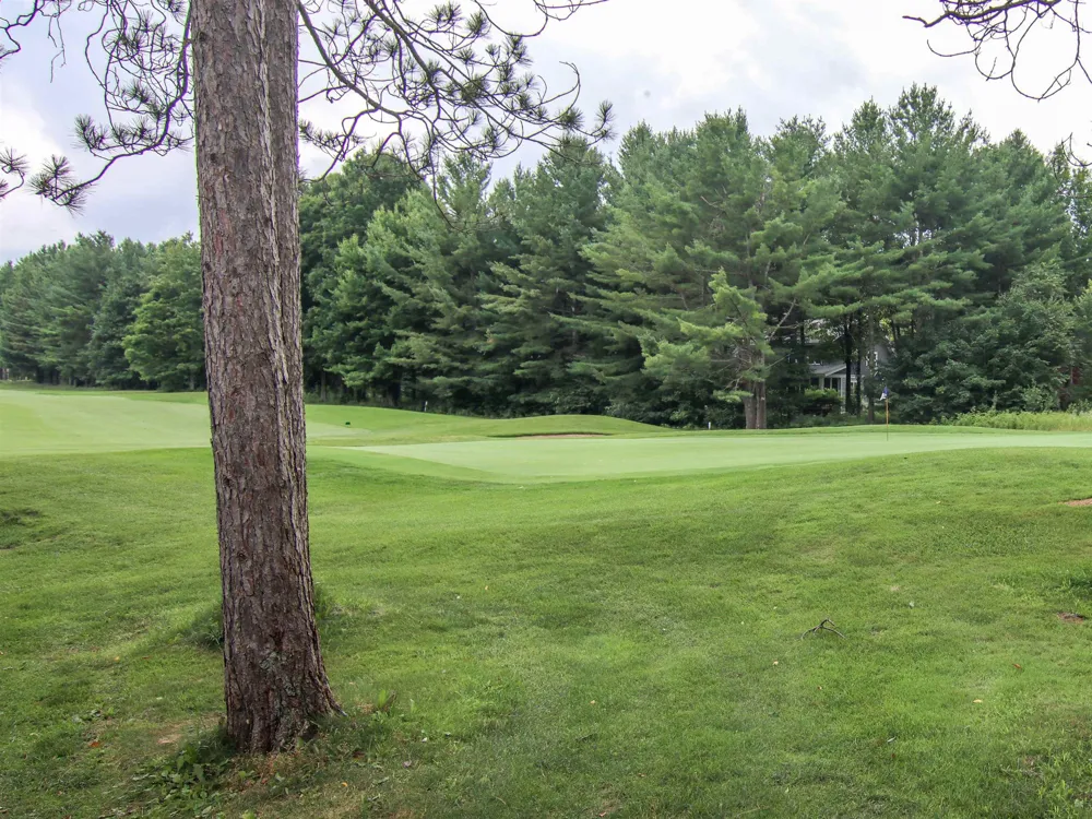 7705 Platte Plains Trail Weldon Township, MI 49683