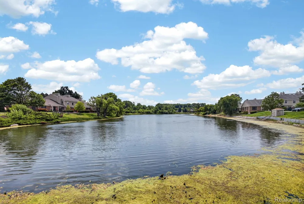 22204 Pondview Novi City, MI 48375