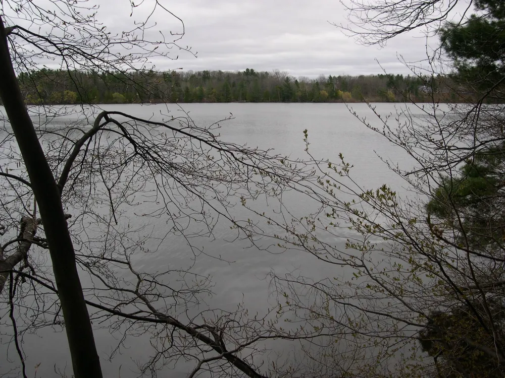 1589 Edgewater Ridge Traverse City City, MI 49684