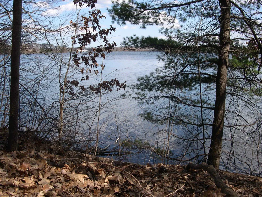 1589 Edgewater Ridge Traverse City City, MI 49684