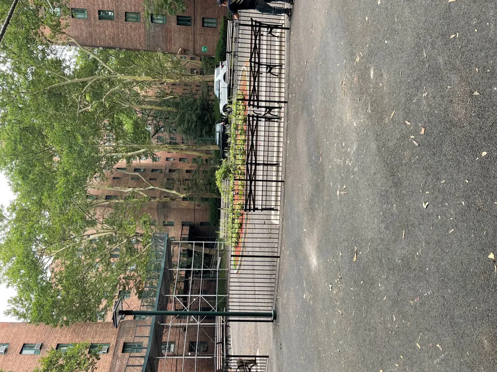 1480 Parkchester Road #MA Bronx, NY 10462