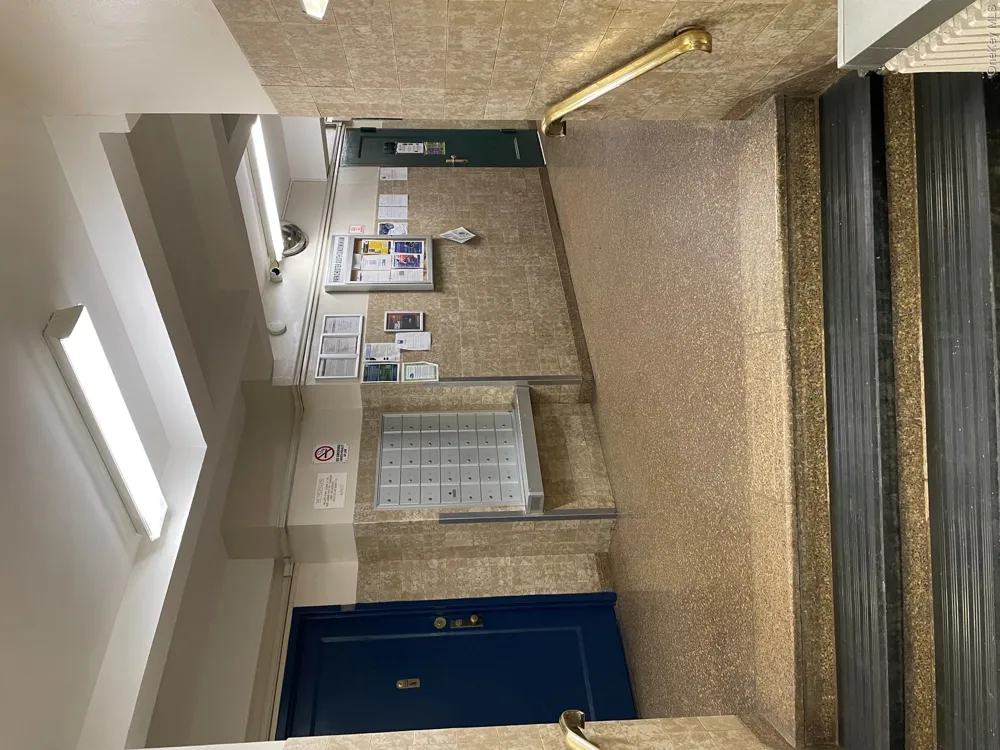 1480 Parkchester Road #MA Bronx, NY 10462