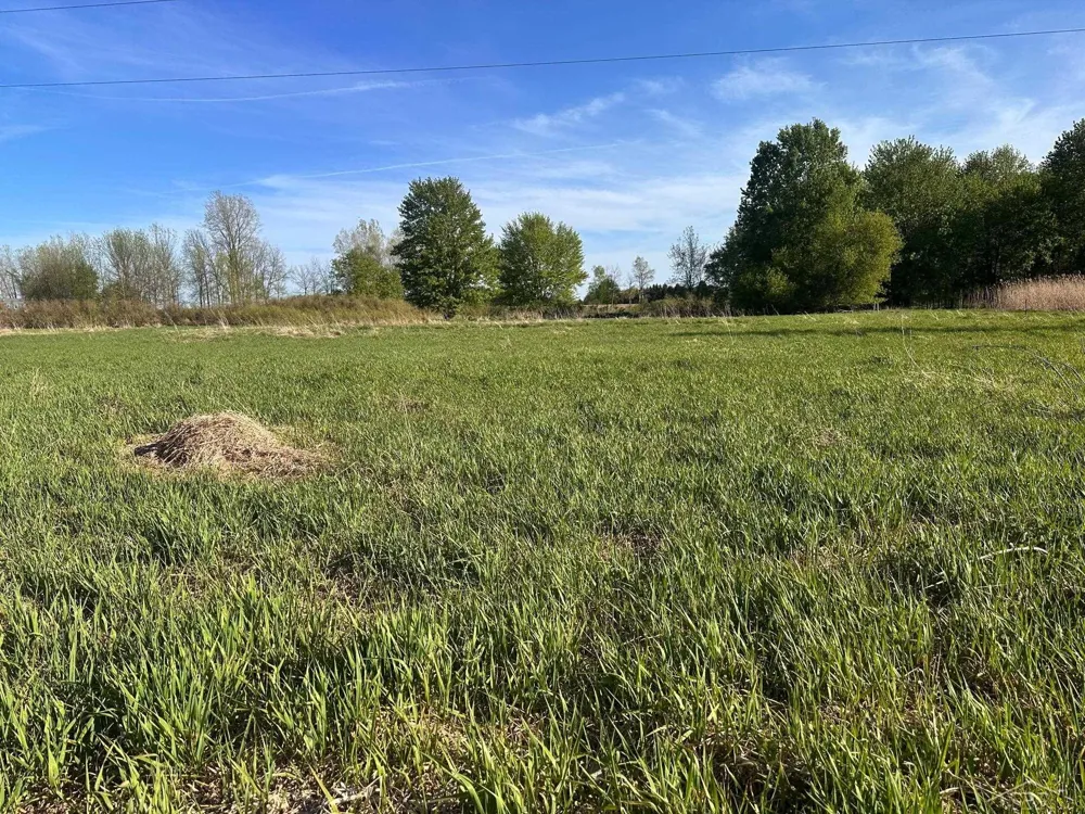9999 Barnes Road Rich Township, MI 48744
